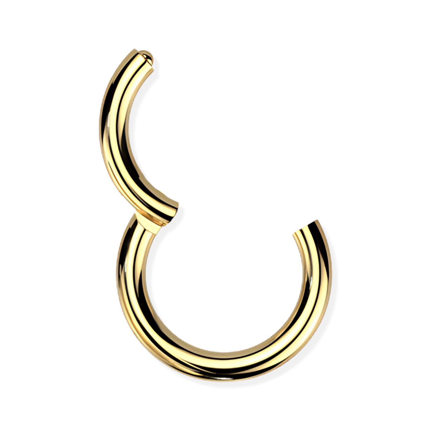 Titanium Hinged Segment Ring - Heavy
