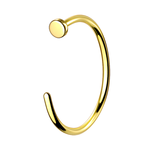 Titanium Nose Hoop Ring