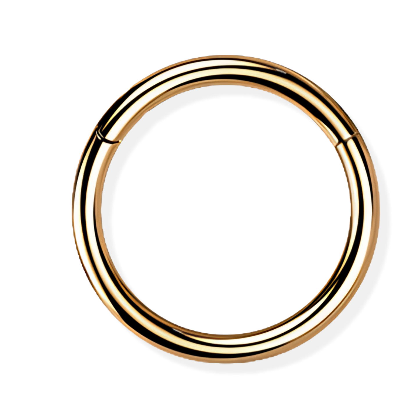 Titanium Hinged Segment Ring - Classic Closure
