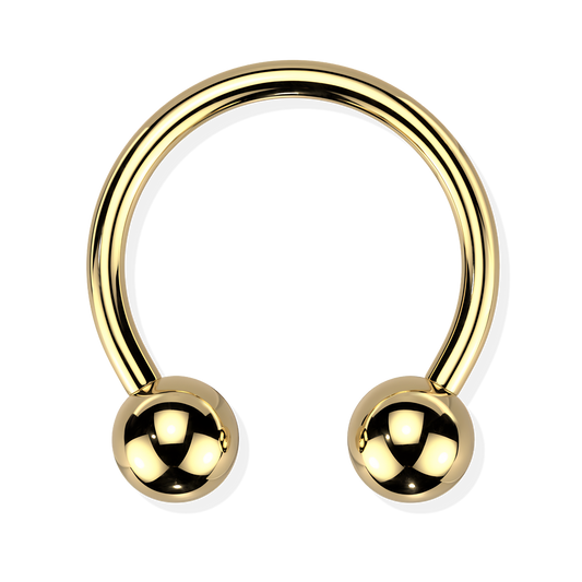 Titanium Horseshoe