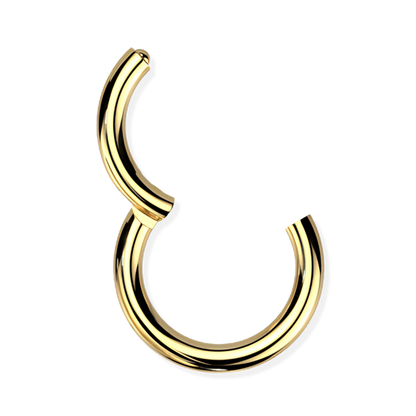 Titanium Hinged Segment Ring - Heavy