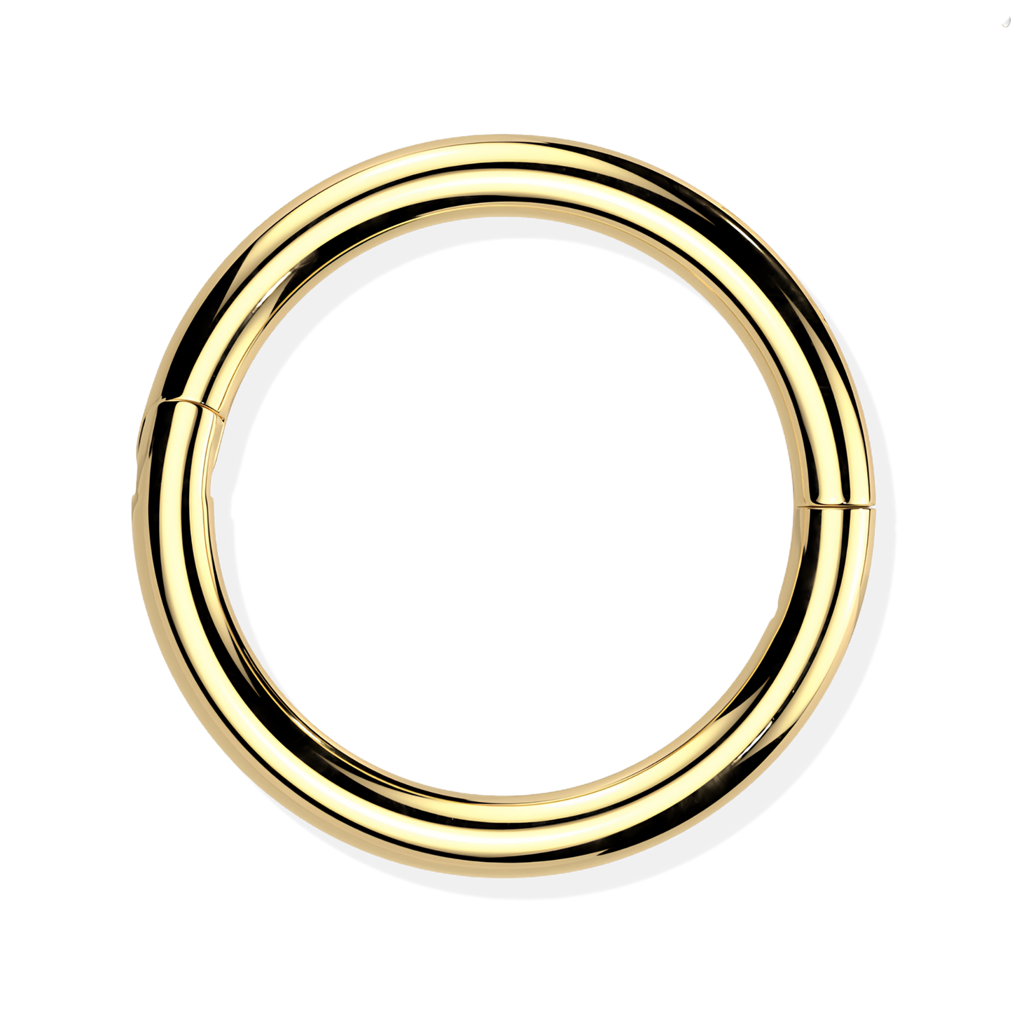 Titanium Hinged Segment Ring - Hook Closure