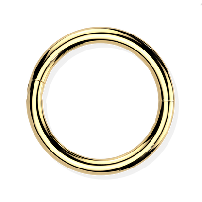 Titanium Hinged Segment Ring - Hook Closure
