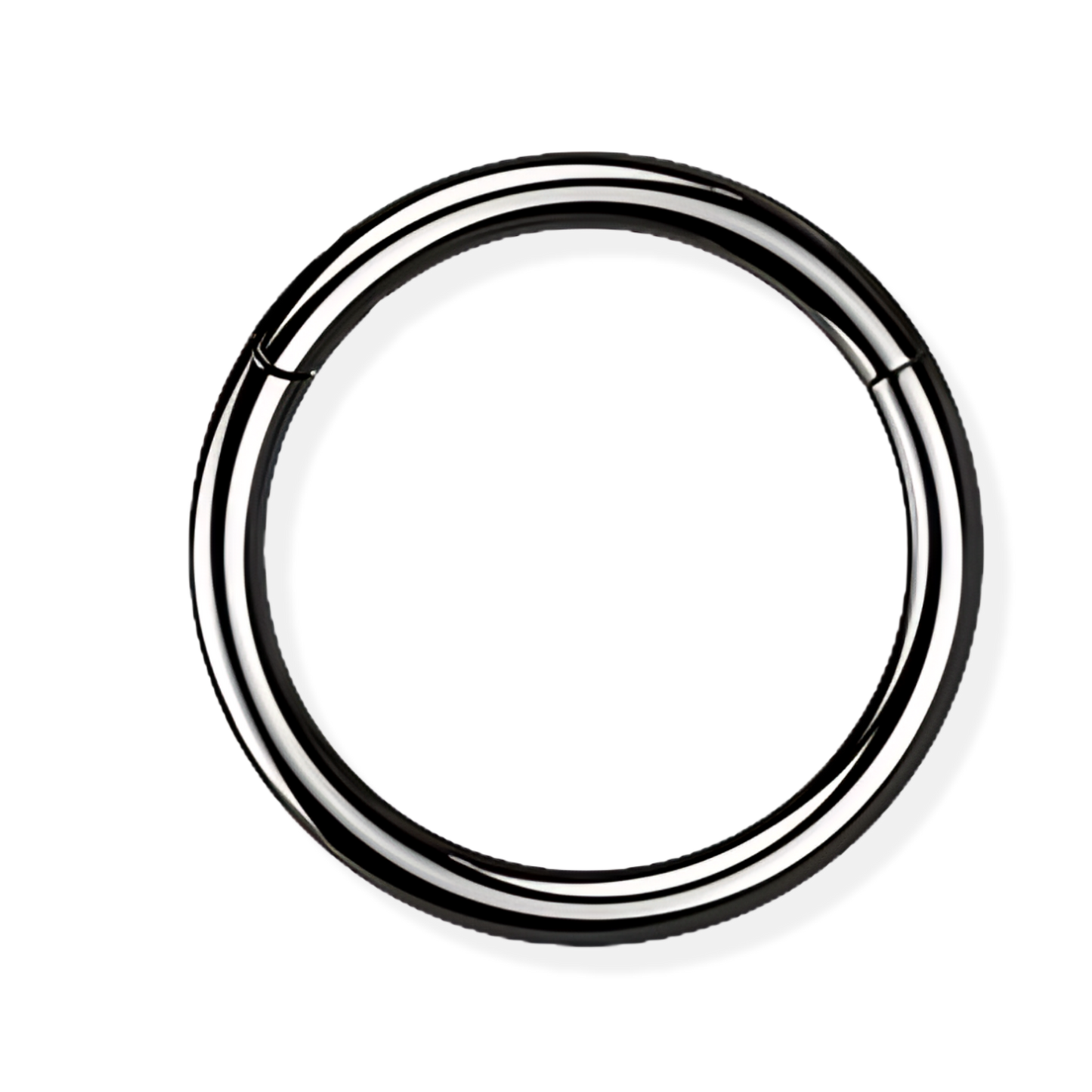 Titanium Hinged Segment Ring - Classic Closure
