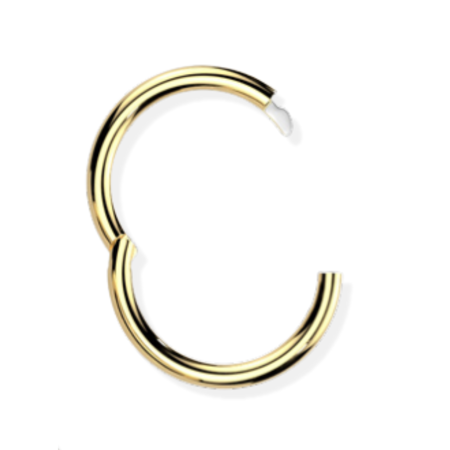 Titanium Hinged Segment Ring - Hook Closure