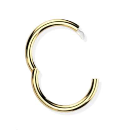 Titanium Hinged Segment Ring - Hook Closure