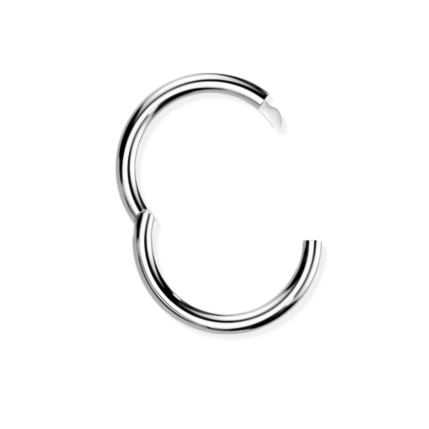 Titanium Hinged Segment Ring - Hook Closure