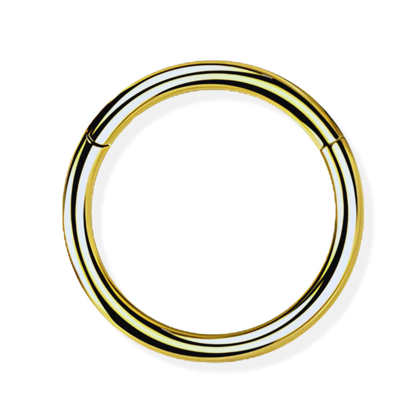 Titanium Hinged Segment Ring - Classic Closure