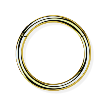 Titanium Hinged Segment Ring - Classic Closure