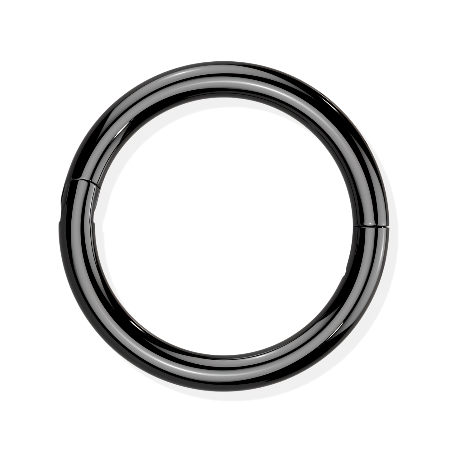 Titanium Hinged Segment Ring - Hook Closure