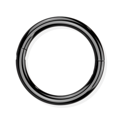 Titanium Hinged Segment Ring - Hook Closure