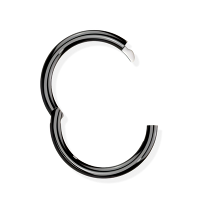 Titanium Hinged Segment Ring - Hook Closure