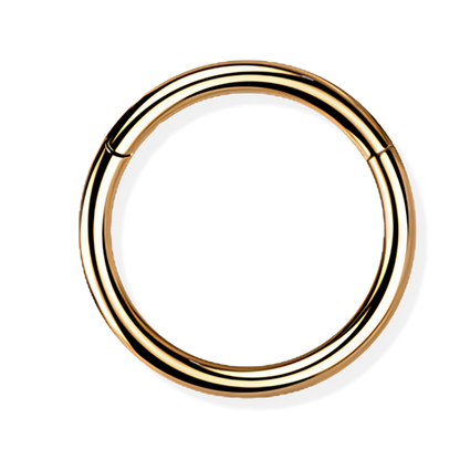 Titanium Hinged Segment Ring - Classic Closure