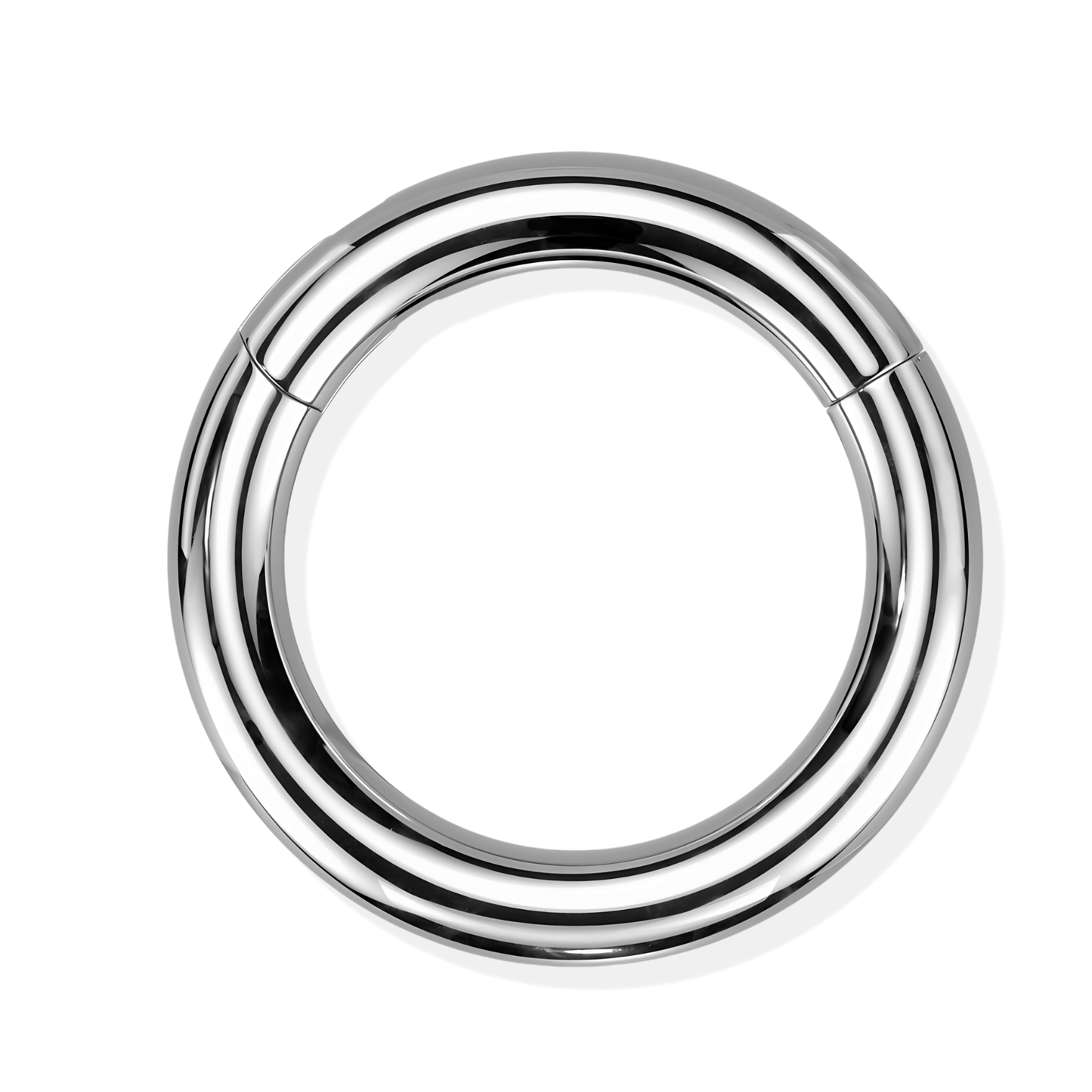 Titanium Hinged Segment Ring - Heavy