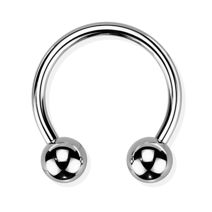 Titanium Horseshoe