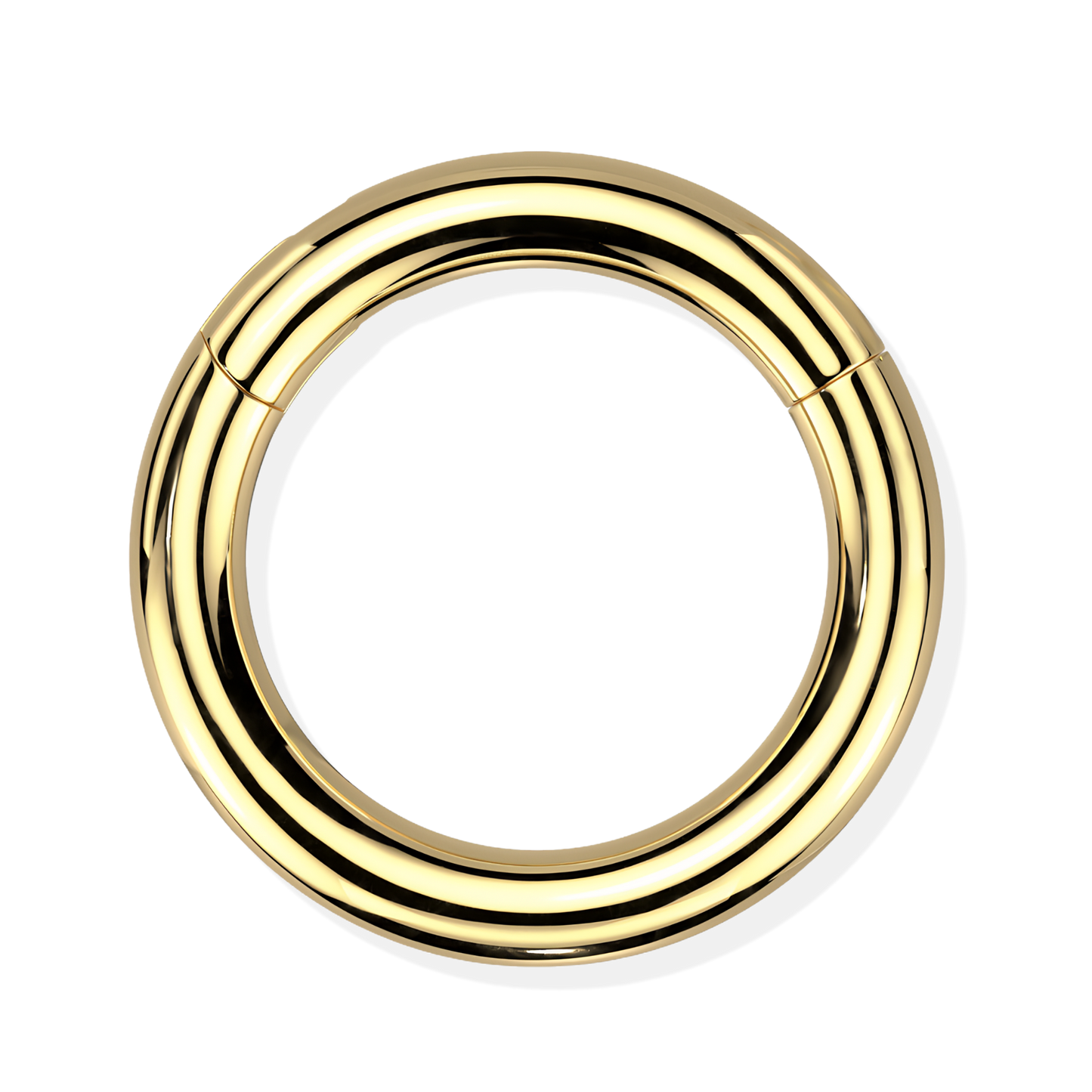 Titanium Hinged Segment Ring - Heavy