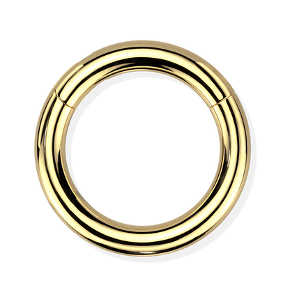 Titanium Hinged Segment Ring - Heavy