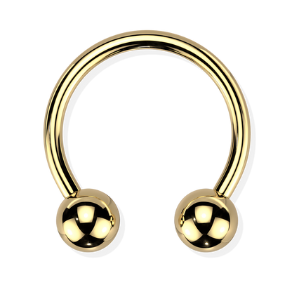 Titanium Horseshoe