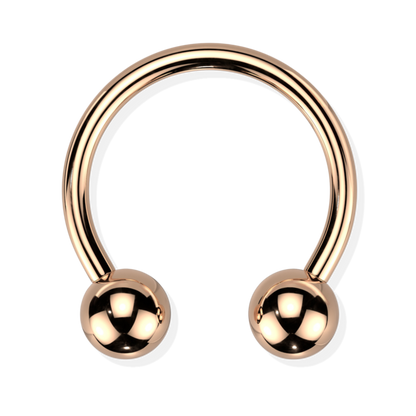 Titanium Horseshoe