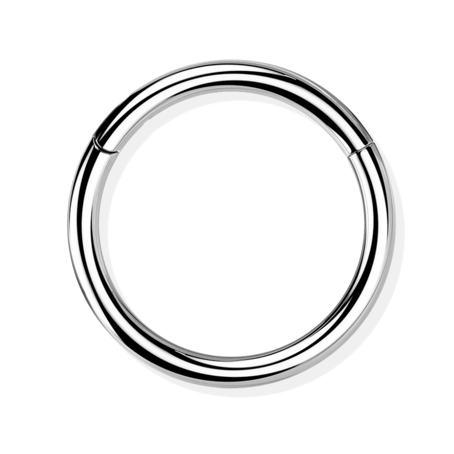 Titanium Hinged Segment Ring - Classic Closure