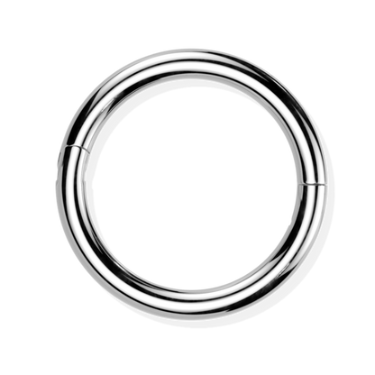 Titanium Hinged Segment Ring - Hook Closure