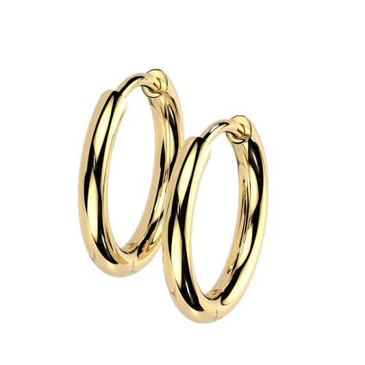 Titanium Hoop Earrings