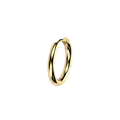 Titanium Hoop Earrings