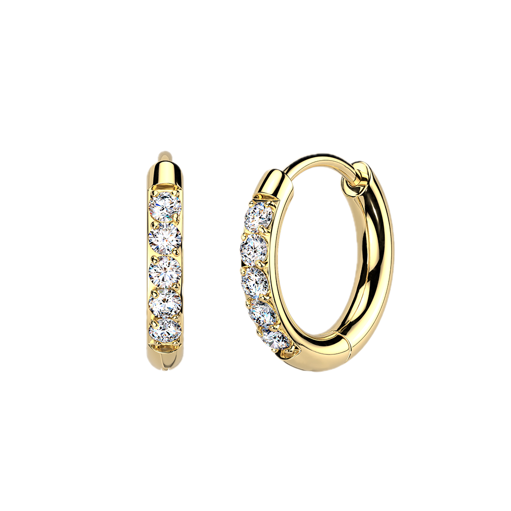 Titanium Hoop Earrings with CZ