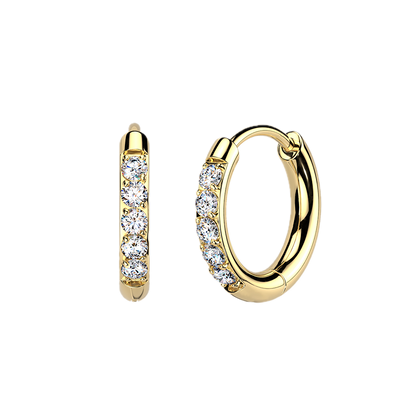 Titanium Hoop Earrings with CZ