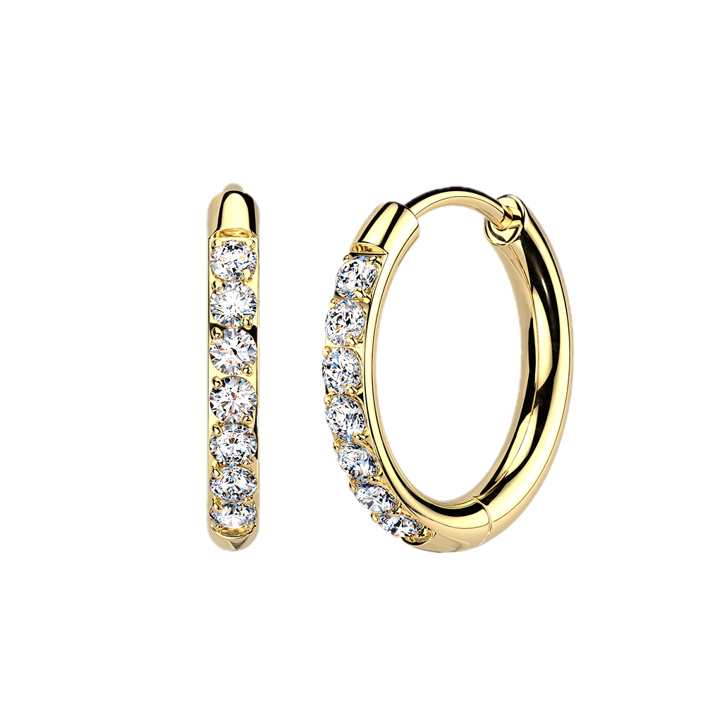Titanium Hoop Earrings with CZ
