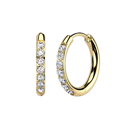 Titanium Hoop Earrings with CZ