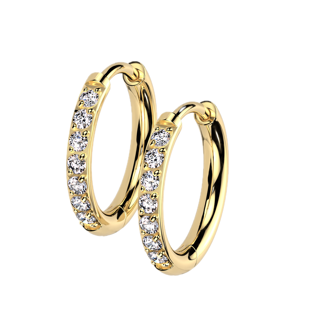 Titanium Hoop Earrings with CZ