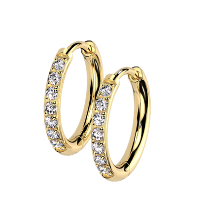 Titanium Hoop Earrings with CZ
