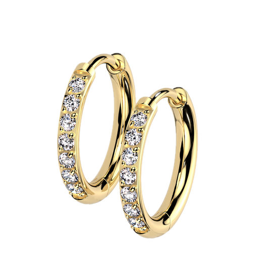 Titanium Hoop Earrings with CZ
