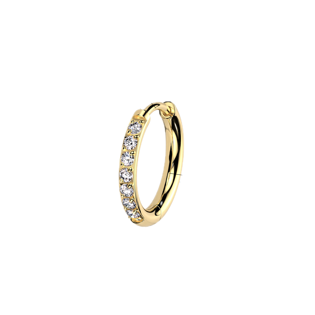 Titanium Hoop Earrings with CZ