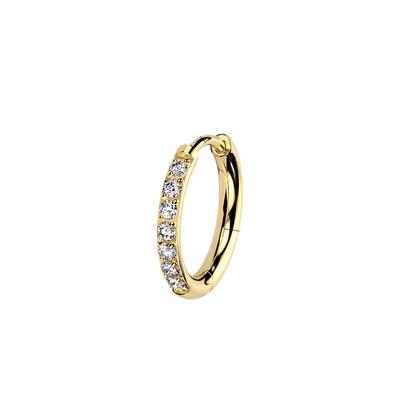 Titanium Hoop Earrings with CZ